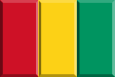 visum_guinea