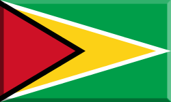 visum_guyana