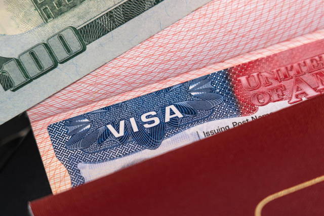 l-visum usa