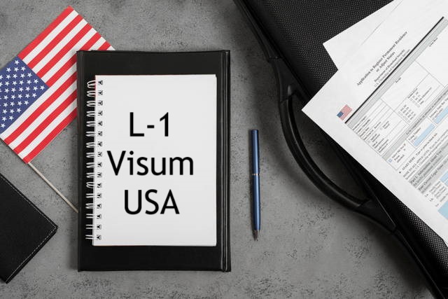 l-visum
