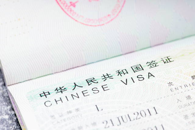 z-visum china