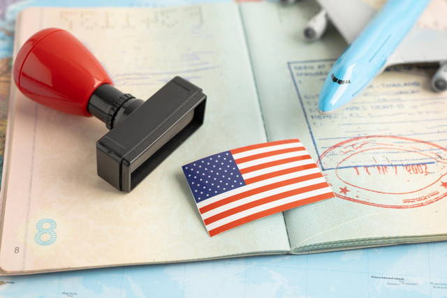 a1 visa usa