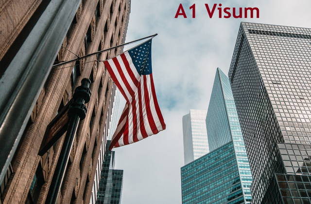a1 visum usa