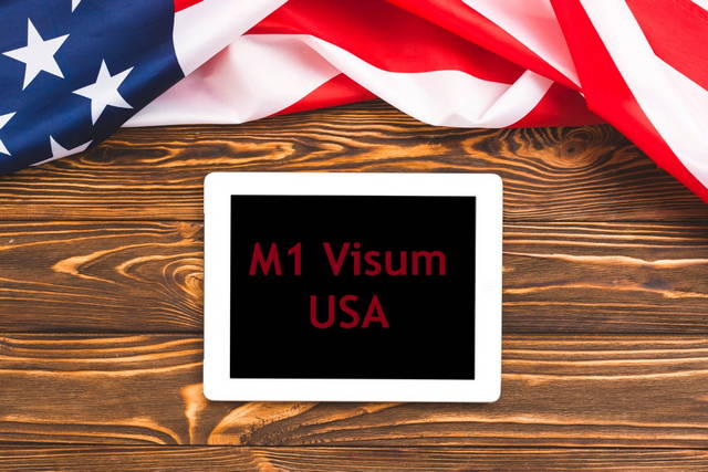 m1 visum usa