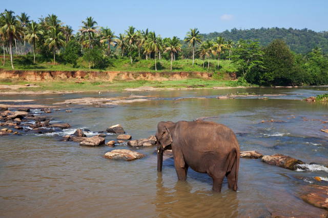visum sri lanka ausfüllhilfe