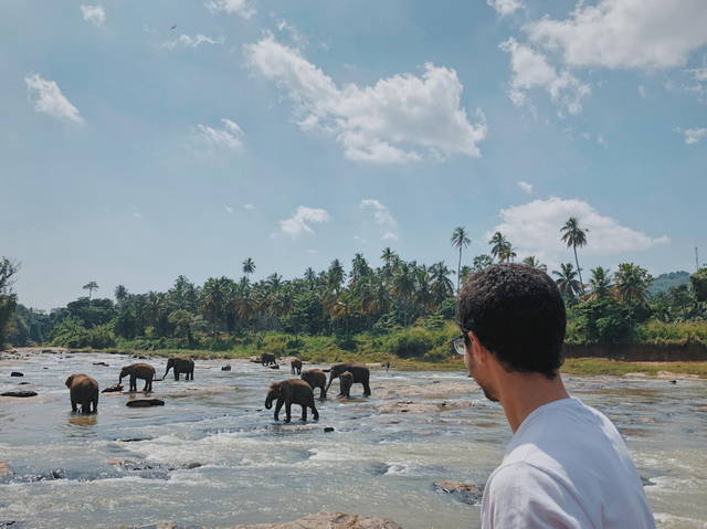 visum sri lanka wie lange vorher beantragen