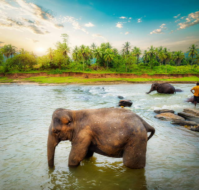 sri lanka touristenvisum