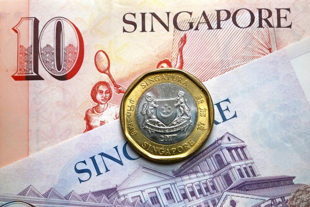 kosten visum singapur