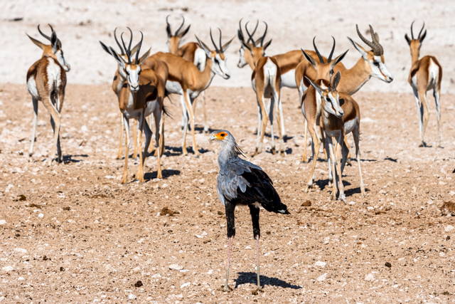 visum kenia für deutsche